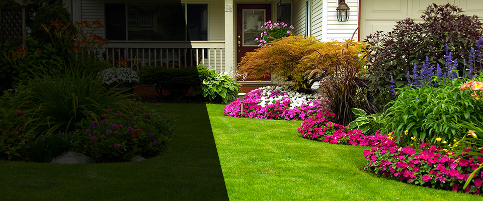 Scranton Landscapers